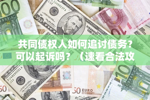 济南共同债权人如何追讨债务？可以起诉吗？（速看合法攻略）